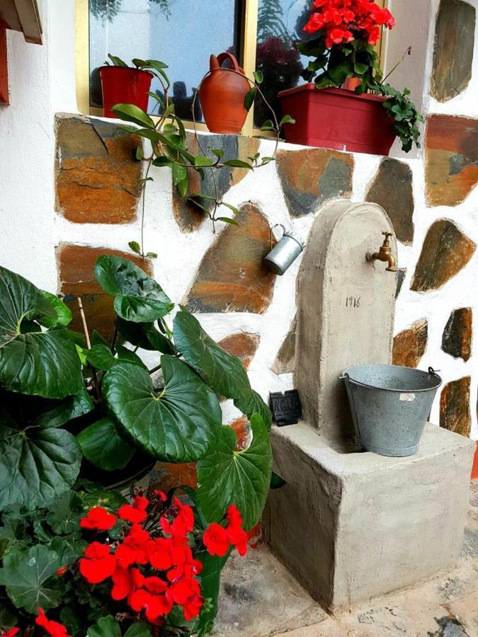 Vivienda Vacacional Ca Na Paula 라오로타바 외부 사진