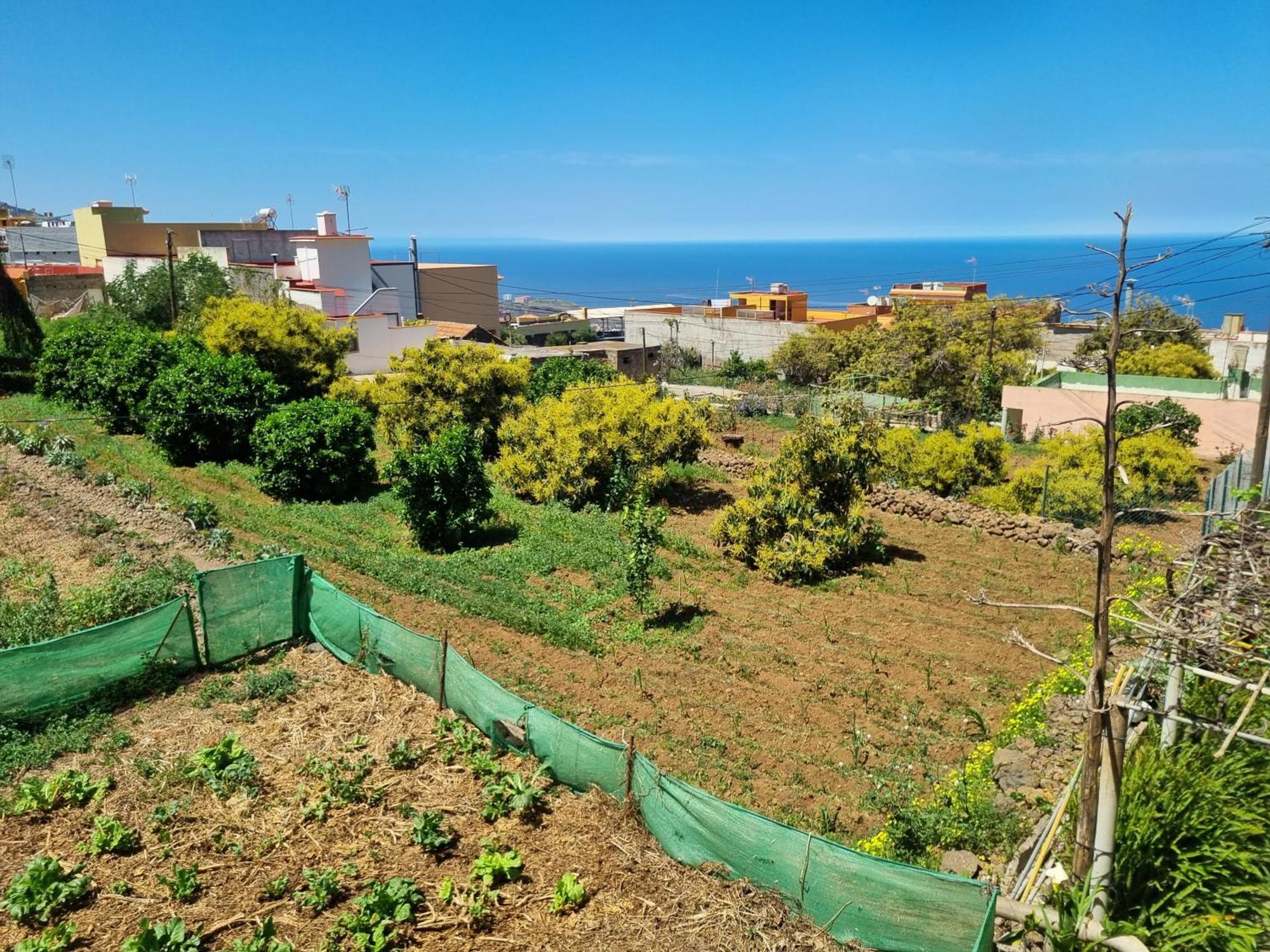 Vivienda Vacacional Ca Na Paula 라오로타바 외부 사진